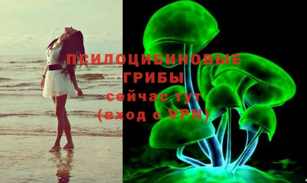 экстази Краснослободск